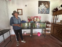 Xochimilco, Paseo en barco con Santuario Ambistoma Mexicanum - Hizvo