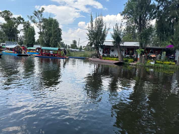 Xochimilco: Boat Tour with Axolotl Sanctuary | GetYourGuide