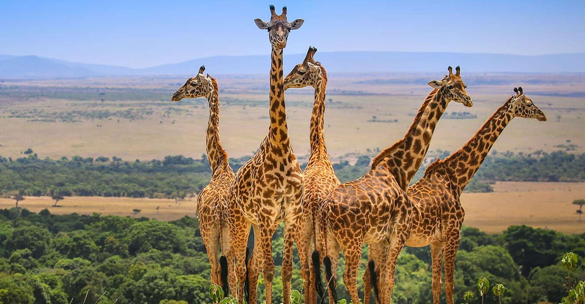 Gruppo di 3 giorni che unisce safari a Masai Mara Utilizzando un 4 x 4 - Hizvo