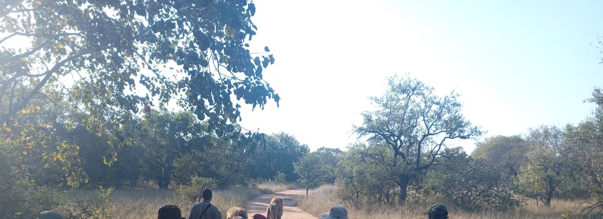 Johannesburg : Promenade guidée avec des lions dans la brousse africaine