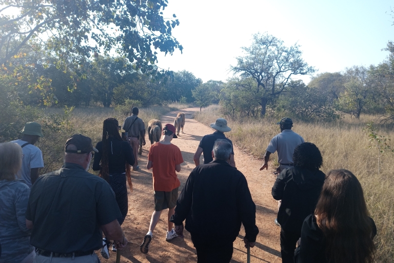 Le bushwalking pour pouvoir marcher avec les animaux sauvages