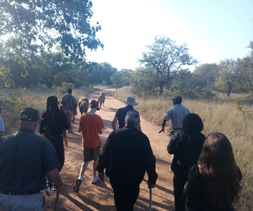 Johannesburg: Guided Walk with Lions in the African Bush