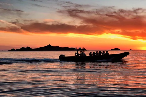 De Sagone/Cargèse: Scandola Piana Sonnenuntergang Apéritif Schnorcheln