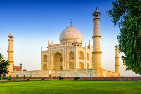 Da Delhi: Tour privato di un giorno all&#039;alba del Taj Mahal e del Forte di AgraAuto + Guida