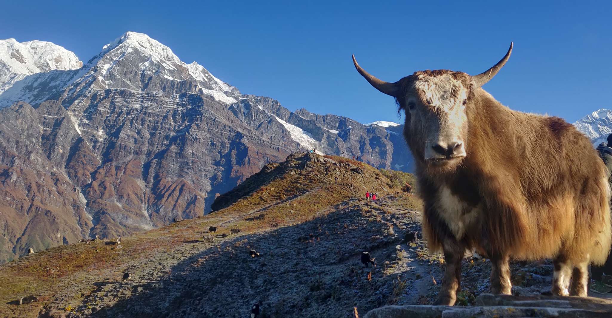 Pokhara, Trek Mardi Himal de 5 días - Hizvo