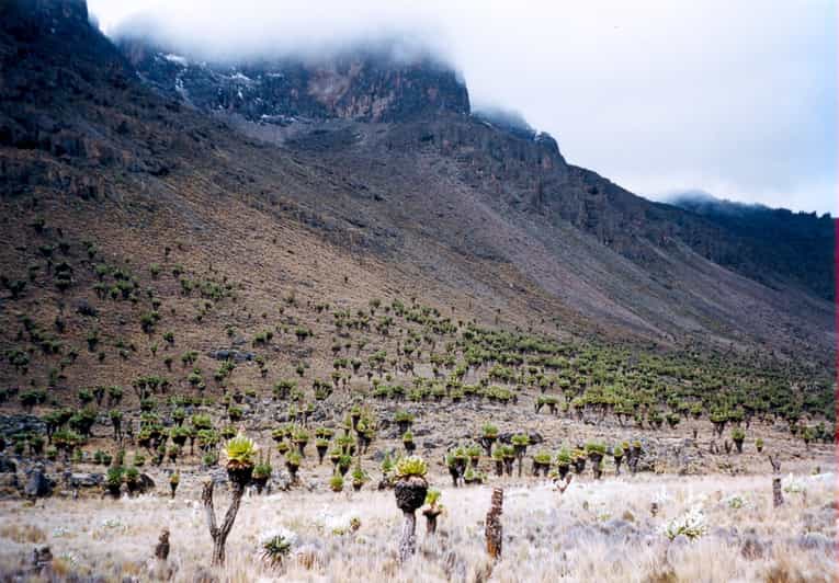 4 GIORNI 3 NOTTI MT KENYA ARRAMPICATA