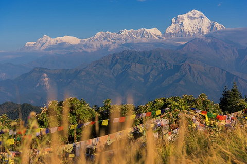 Pokhara: caminhada guiada de 4 dias em Ghorepani Poon Hill via Ghandruk