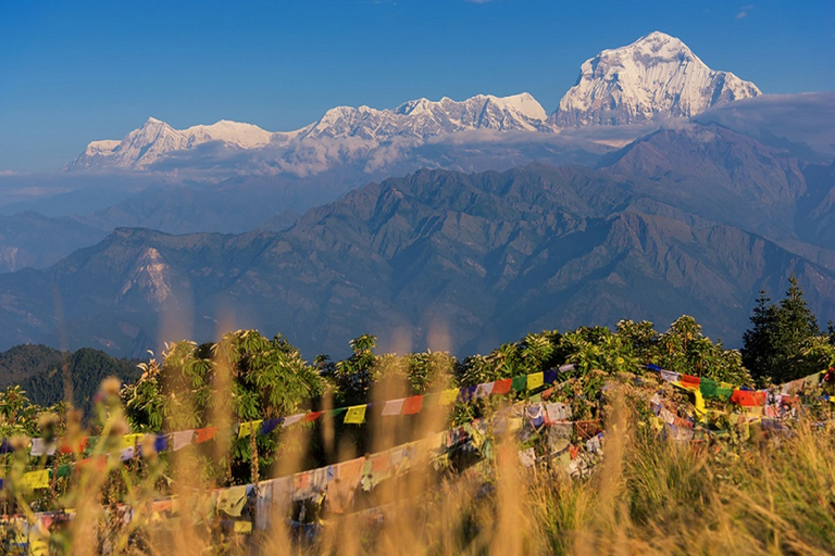 Pokhara: 4-Days Ghorepani and Poon Hill Trek via Ghandruk