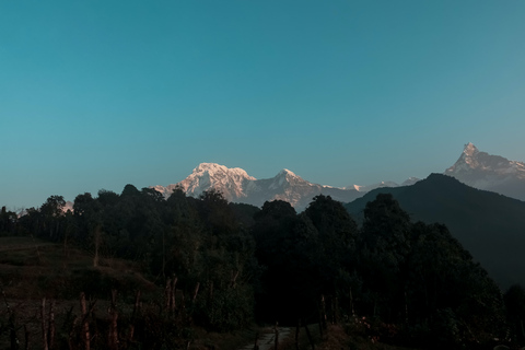 Pokhara: caminhada guiada de 4 dias em Ghorepani Poon Hill via Ghandruk