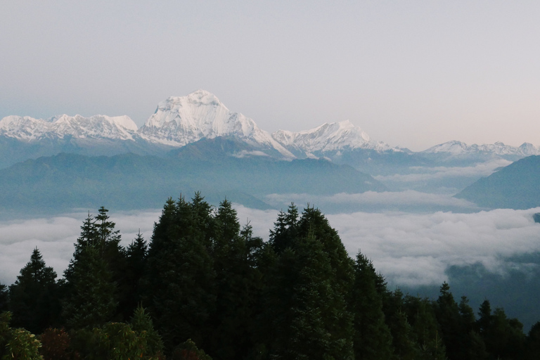 Pokhara: caminhada guiada de 4 dias em Ghorepani Poon Hill via Ghandruk