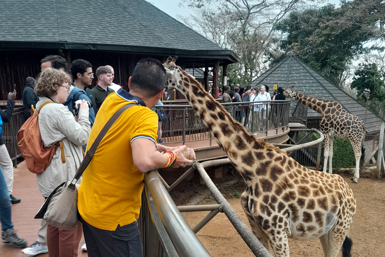 Nairobi tour to Giraffe center, Sheldrick &amp; Kobe beads