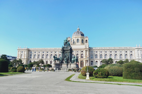 Vienna: Schönbrunn Palace and City Center Guided Tour