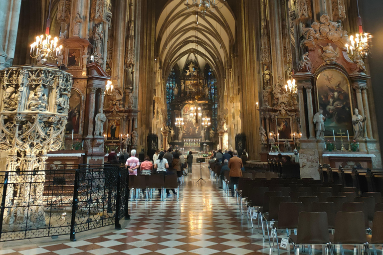 Vienna: Schönbrunn Palace and City Center Guided Tour
