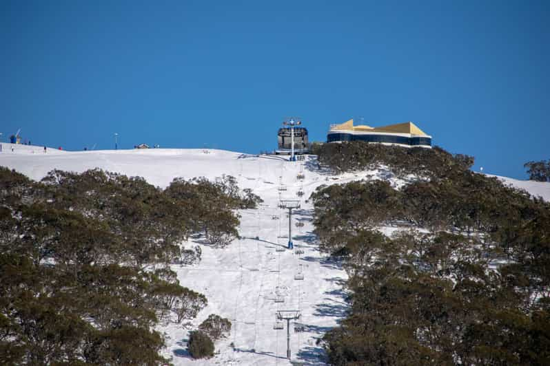 From Melbourne Mount Buller Guided Day Tour Getyourguide