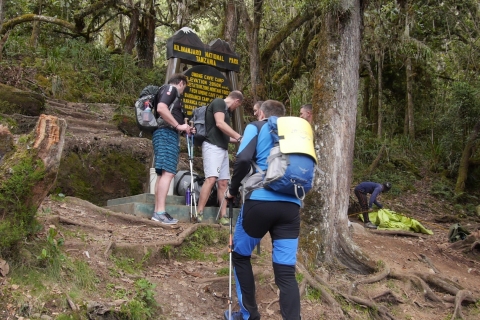 Kilimanjaro: De Lemosho-route beklimmen