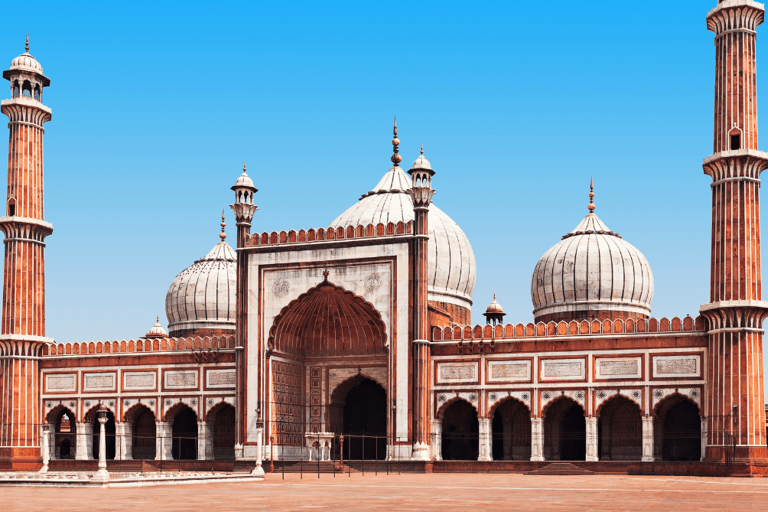 Visita guiada privada de un día a Nueva y Vieja Delhi en coche con aire acondicionadoSólo coche, conductor y servicio guiado