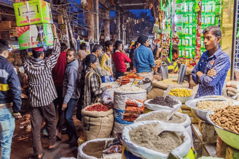 Délhi: excursão particular de meio dia para Nova Délhi e para a cidade antigaPasseio pela Velha Delhi