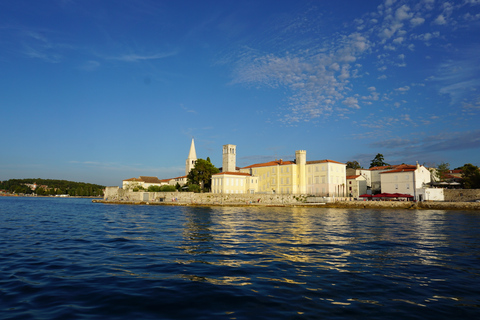 Poreč: Dolphin Spotting Cruise with Included Drinks