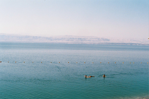 Dagtrip naar de Dode Zee vanuit de stad AmmanDode Zee-tour vanuit de stad Amman