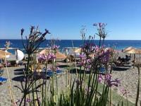 Chania nach Elafonissi Strand Privater Transfer - Hizvo