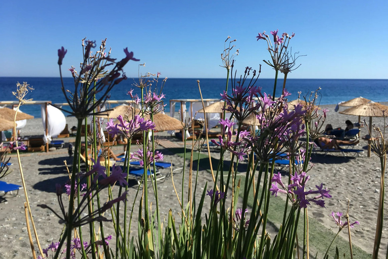 Transfert privé de La Canée à la plage d'Elafonissi