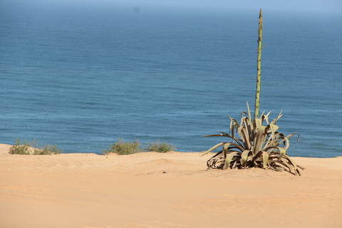 Ab Agadir: 4×4 Jeep Sahara Wüstentour mit Mittagessen