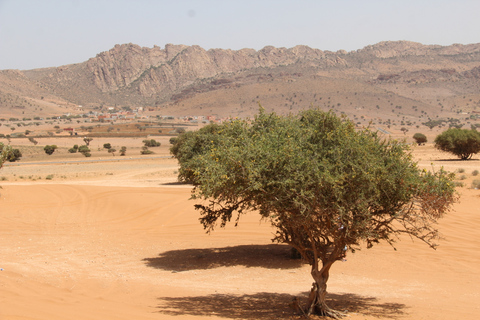 Ab Agadir: 4×4 Jeep Sahara Wüstentour mit Mittagessen