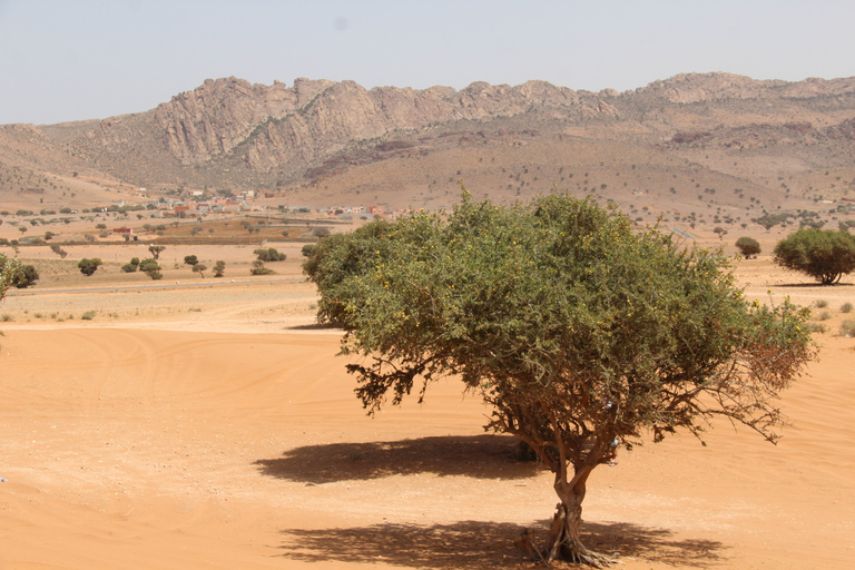 From Agadir: 4×4 Jeep Sahara Desert Tour with Lunch