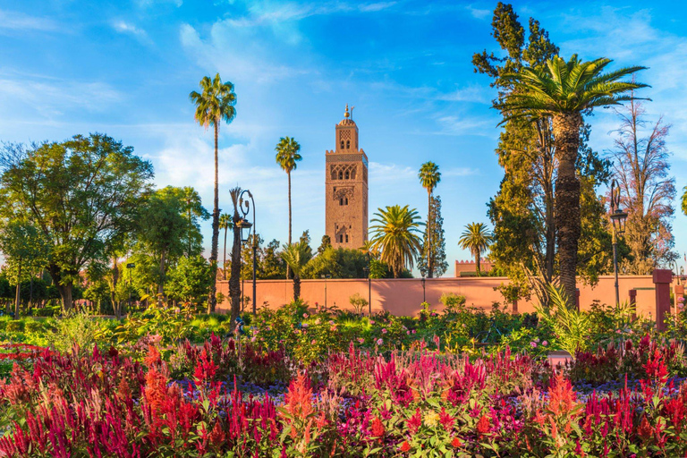 Au départ de Taghazout ou d'Agadir : Excursion guidée à MarrakechDepuis Agadir