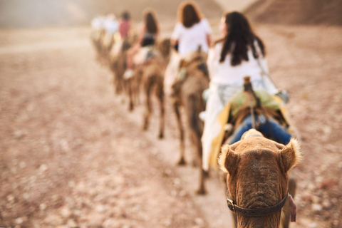 Agadir: Paseo en Camello con Opción de Té y Cena BarbacoaPaseo en camello y cena