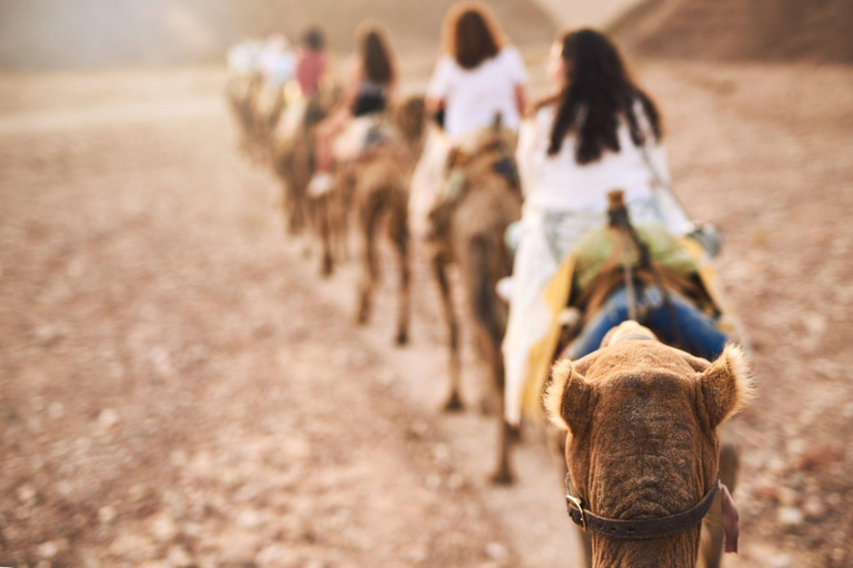 Agadir: Paseo en Camello con Opción de Té y Cena BarbacoaAgadir: Paseo en camello sin cena