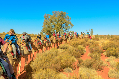 Agadir: Camel Ride With Tea & BBQ Dinner Option Camel Ride and Dinner