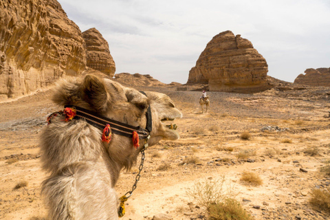 Agadir: passeio de camelo com opção de jantar com chá e churrascoPasseio de camelo e jantar