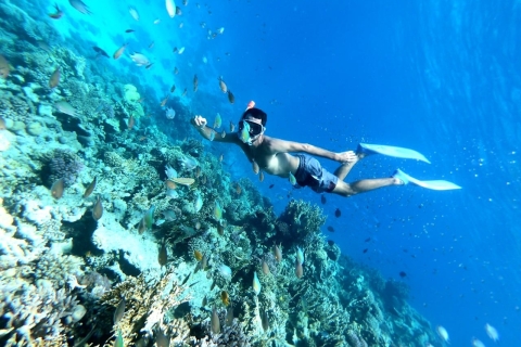 Wycieczka na nurkowanie z rurką na wyspę Utopia z Hurghady