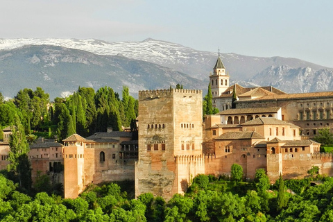 Granada: Tour dell&#039;Alhambra e dei Palazzi Nasridi senza biglietto