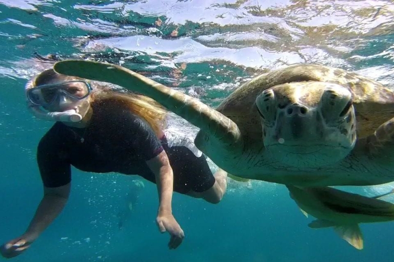 Hurghada : Parc national de Sharm El Naga, maison des tortues d'eauHurghada : Journée complète de plongée en apnée à Sharm El Naga