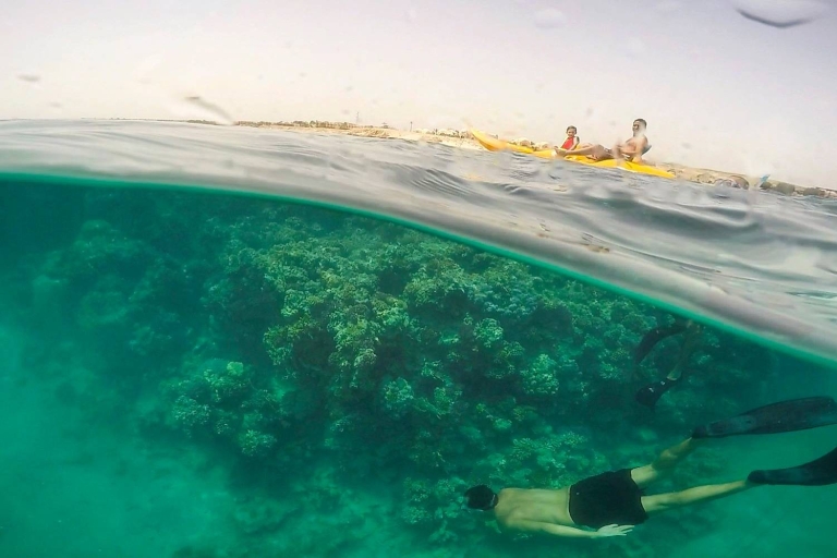 Hurghada : Casa de las tortugas acuáticas del Parque Nacional de Sharm El NagaHurghada : Excursión de un día a Sharm El Naga para hacer snorkel