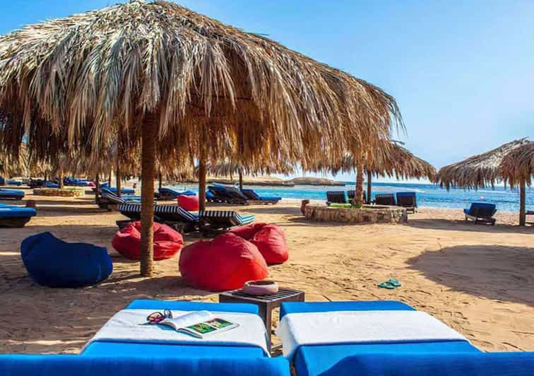 Hurghada : Sharm El Naga National Park water turtle house | GetYourGuide