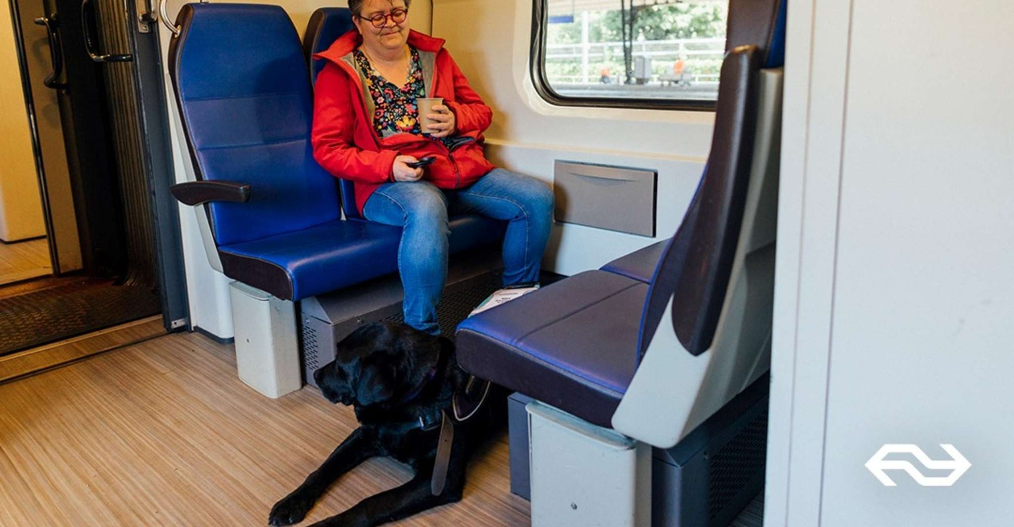 Amsterdam: Train Transfer Schiphol Airport from/to Amsterdam photo 7