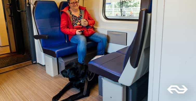 Amsterdam: Train Transfer Schiphol Airport from/to Amsterdam photo 7