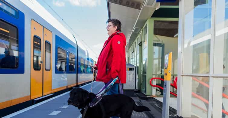 Amsterdam: Train Transfer Schiphol Airport from/to Amsterdam photo 10