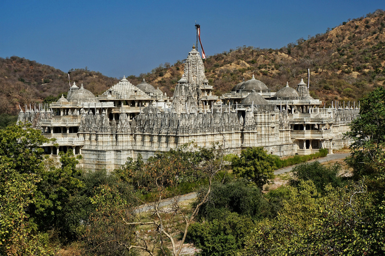 Excursion d'une journée à Kumbhalgarh et Ranakpur au départ d'Udaipur