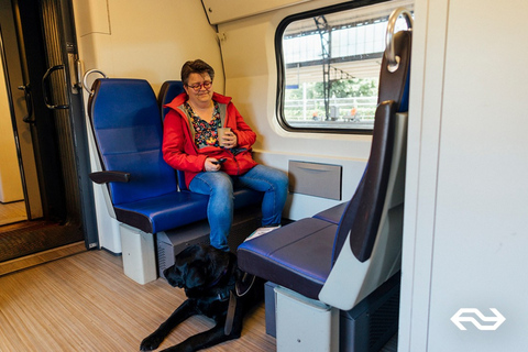 Amsterdam: Treintransfer Schiphol Airport van/naar Den HaagSingle van Schiphol Airport naar Den Haag - First Class