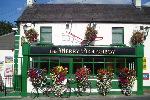 Dublin: Irish Night Show at the Merry Ploughboy Pub Show Only