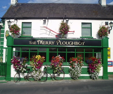 Dublin: Irish Night Show at the Merry Ploughboy Pub