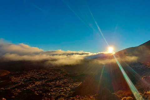 Teneriffa: Kvällstur med solnedgång och stjärnskådning på Teide + middagRundtur på engelska