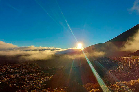 Teneriffa: Kvällstur med solnedgång och stjärnskådning på Teide + middagRundtur på engelska