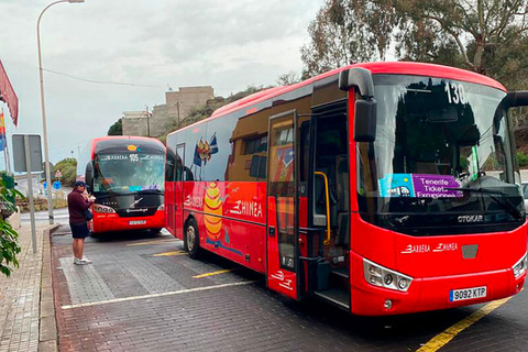 Tenerife: Tour serale al tramonto e osservazione delle stelle sul Teide + cenaTour in inglese