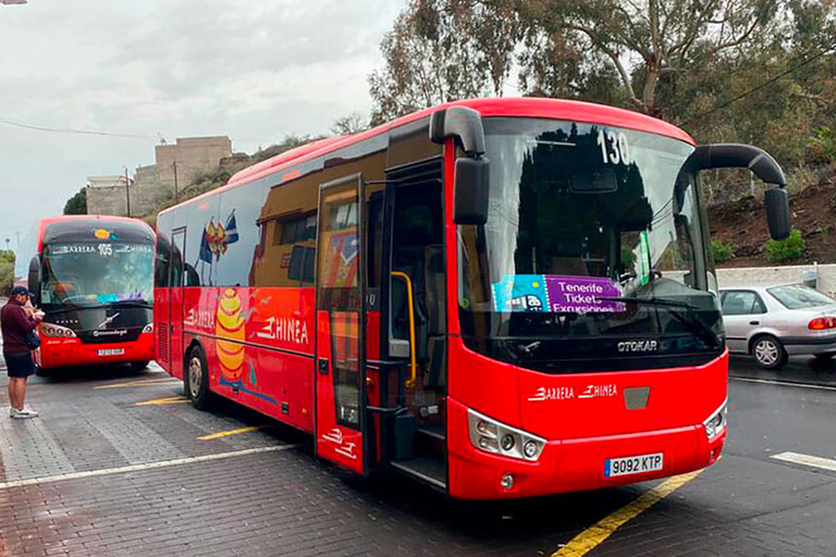 Tenerife: Tour serale al tramonto e osservazione delle stelle sul Teide + cenaTour in inglese