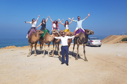 Explore Tangier with a ride in camel